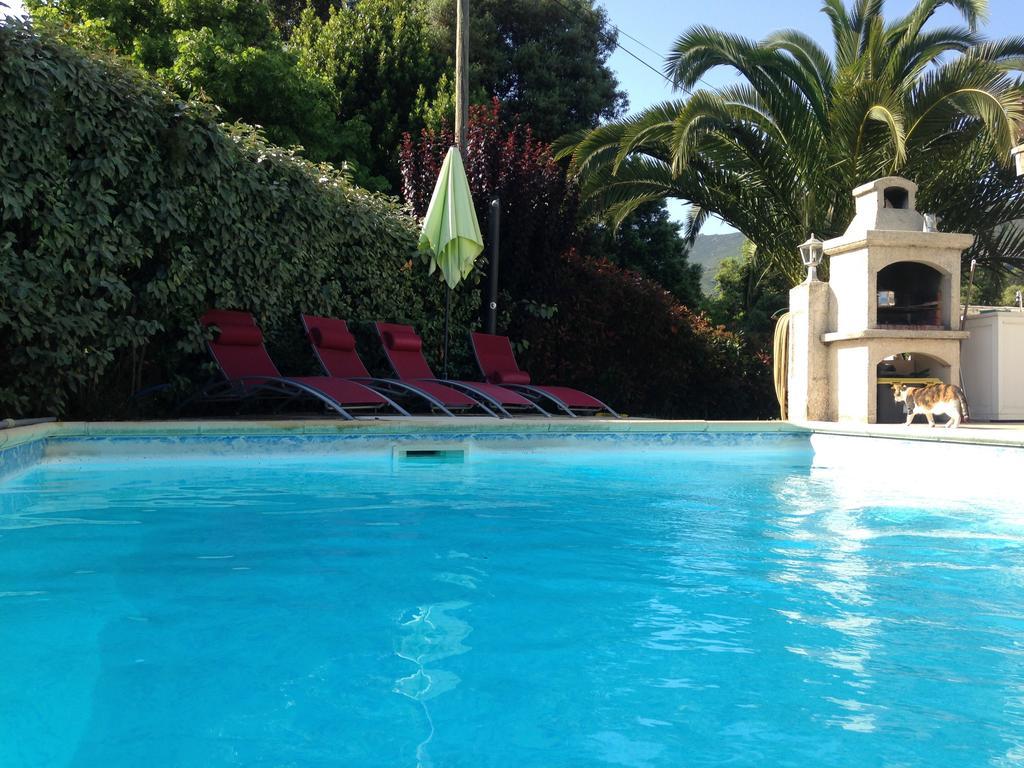 Veronique Bed and Breakfast Appietto Rum bild